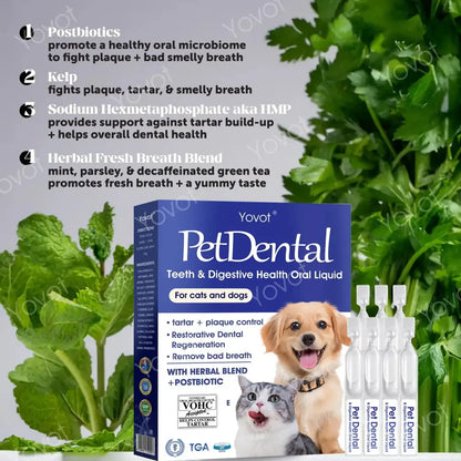 | 🎄Official Store| Yovot® Pet Tooth Powder 😻🐶 – Makes breath fresh & cleans dirty teeth (AVA-recommended for cats & dogs) – Last day! 80% OFF!