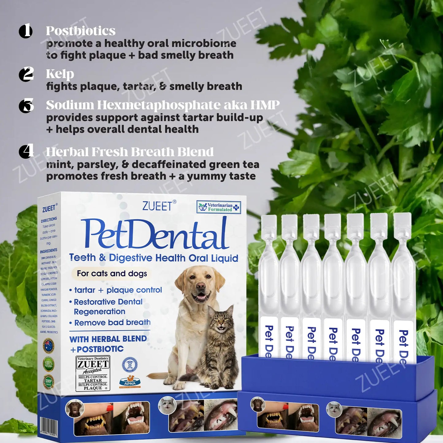 | 👩‍⚕️Vet-recommended in Australia🇦🇺 | 🎅🎁ZUEET® Pet Teeth & Digestive Health Oral Liquid 😻🐶 – Makes breath fresh & cleans dirty teeth (Vet-recommended for cats & dogs) – Last day! 80% OFF!