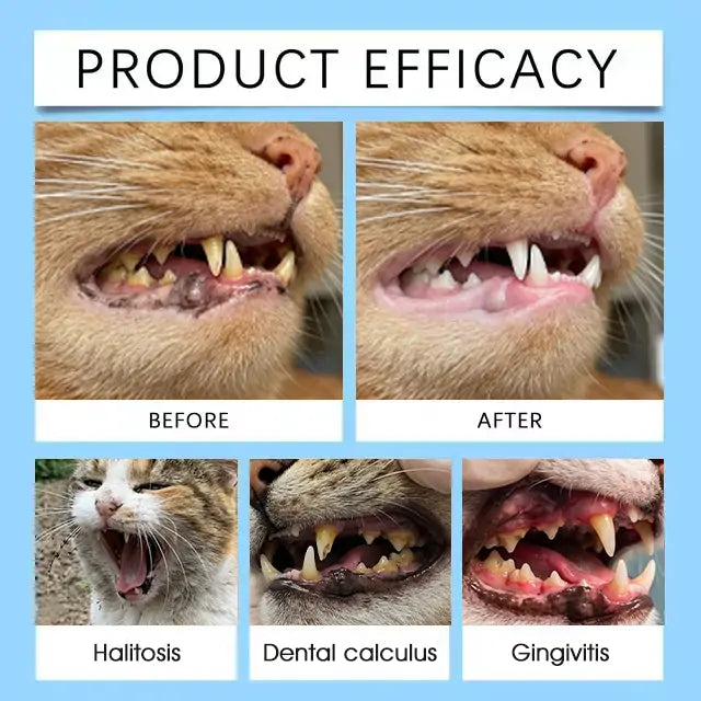 | 👩‍⚕️Vet-recommended in Australia🇦🇺 | 🎅🎁ZUEET® Pet Teeth & Digestive Health Oral Liquid 😻🐶 – Makes breath fresh & cleans dirty teeth (Vet-recommended for cats & dogs) – Last day! 80% OFF!