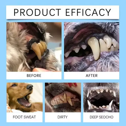 | 👩‍⚕️Vet-recommended in Australia🇦🇺 | 🎅🎁ZUEET® Pet Teeth & Digestive Health Oral Liquid 😻🐶 – Makes breath fresh & cleans dirty teeth (Vet-recommended for cats & dogs) – Last day! 80% OFF!